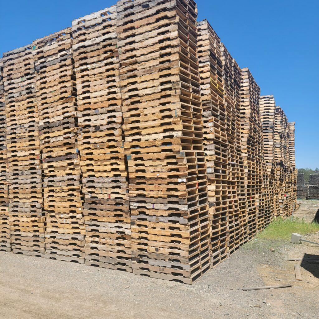 A large outdoor stack of wooden pallets arranged in neat, tall rows on a dirt ground under a clear blue sky. The pallets are weathered and give the appearance of being used for shipping or storage.